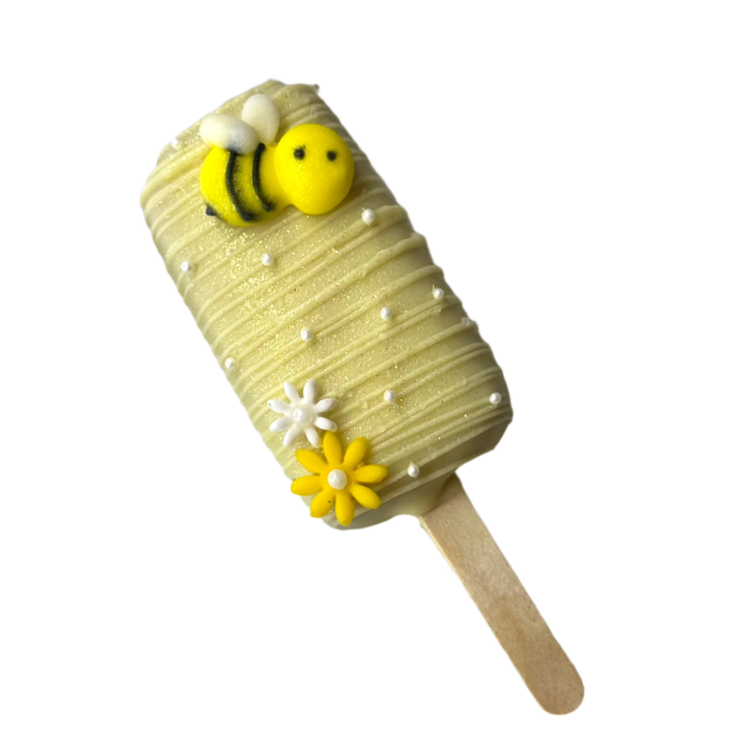 Fun & Fancy Cakepops Sticks