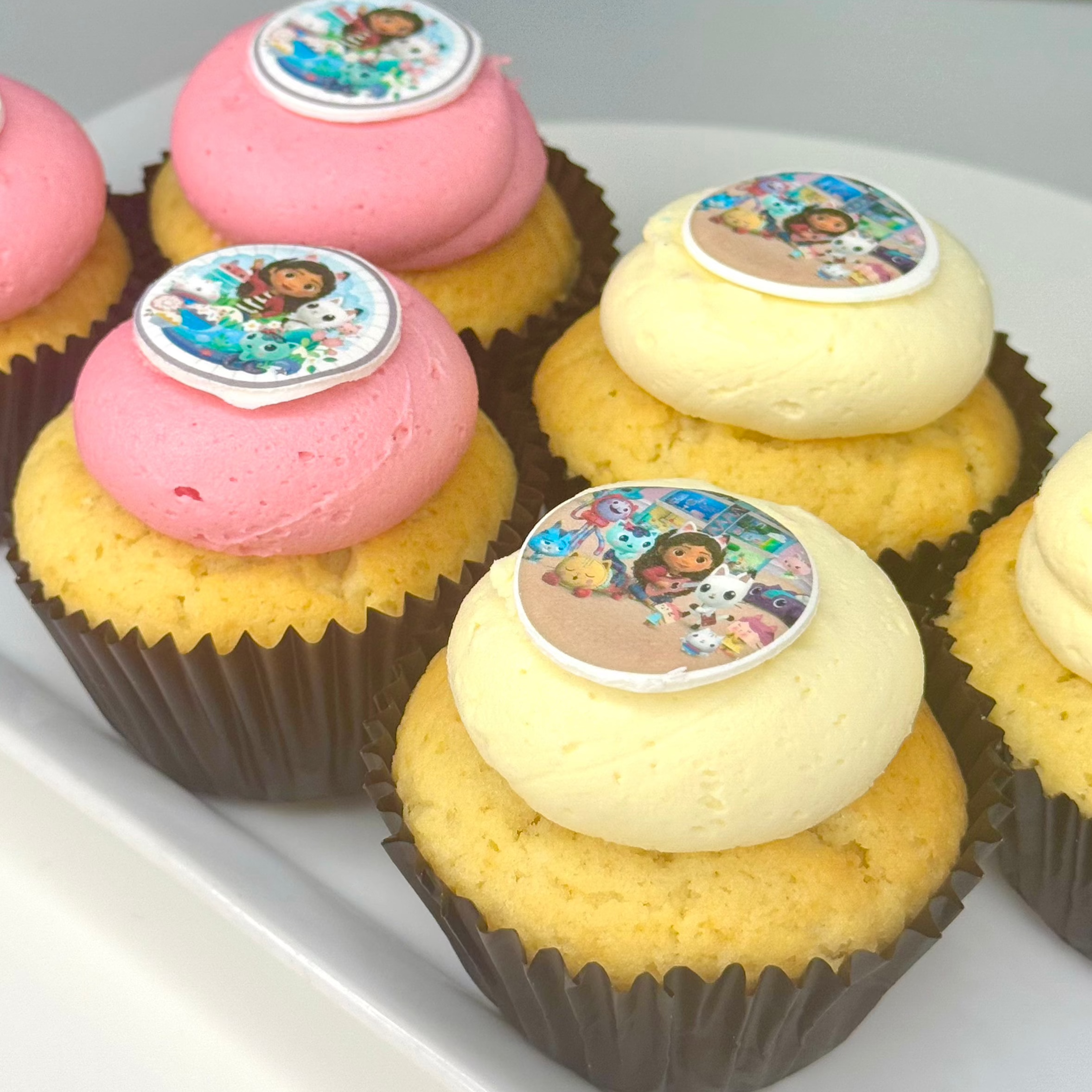 Gabby’s Dollhouse Box